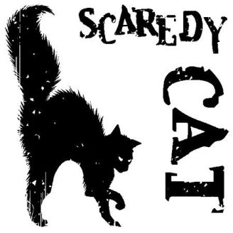Halloween scaredy cat